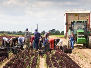 Supporting image for story: Shropshire sees ‘significant drop’ in EU workers after Brexit vote 