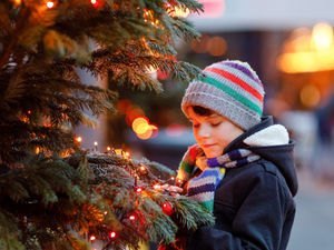 Supporting image for story: More stallholders sought as free festive market set to return to Shrewsbury garden centre