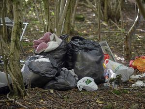 Supporting image for story: Two arrested as self-styled ‘African tribe’ evicted from woods