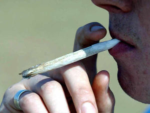 Supporting image for story: Young driver smoked cannabis hours before death smash