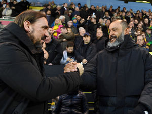 Supporting image for story: Wolves boss Nuno: We had luck on our side in Norwich win