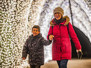 Supporting image for story: Christmas might seem a long way away but here is what one major attraction is planning for the festive period