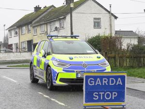Supporting image for story: Body discovered in another fire at Edenderry arson attack house