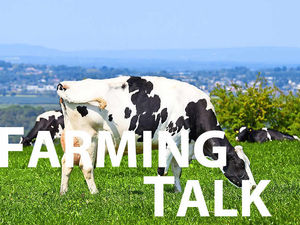 Supporting image for story: Best of the crop from a magnificent seven