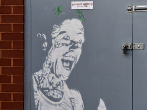 Supporting image for story: Not a Banksy - mystery solved over 'Firestarter' art at Crooked House pub site