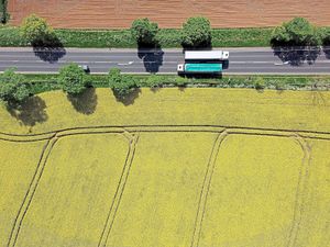Supporting image for story: Fields put on annual spring show as the weather forecast looks up
