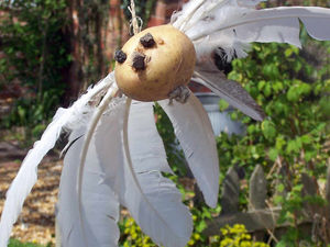 Supporting image for story: Peter Rhodes: Season of swallows and spud hawks