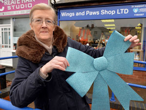 Supporting image for story: Lend a paw to support charity through lockdown