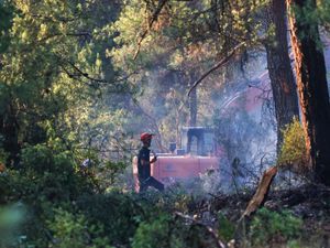 Supporting image for story: Turkey faces ‘very risky week’ for wildfires