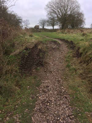 Road marks at the beauty spot