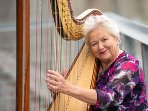 Supporting image for story: Musician who persuaded future King to bring back the title of Royal Harpist embarks on tour