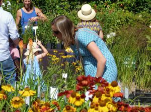 Supporting image for story: A plant lovers’ paradise at the Dorothy Clive Garden this August bank holiday