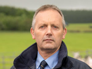 Supporting image for story: Big day celebrates sheep industry