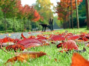 Supporting image for story: Sarah Cowen-Strong: Autumn brings out my inner child
