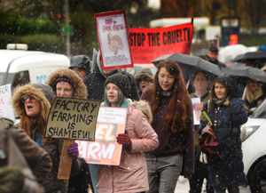 A demonstration along Newport Road, Stafford
