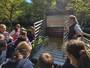 Bradford Estates farm administrator Megan Betts introduces the guests to her lambs