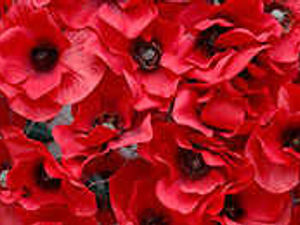 Supporting image for story: Remembrance Parades