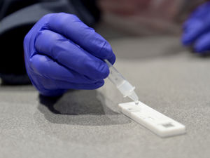 Supporting image for story: Businesses urged to apply for £10,000 grants for rapid Covid testing for staff