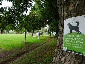 Supporting image for story: Woman who let dog off lead at graveyard forced to pay £900