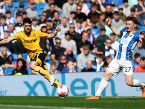 Supporting image for story: Brighton 6 Wolves 0 - Report