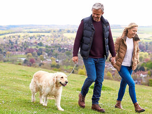 Supporting image for story: Peter Rhodes: Flick that poo