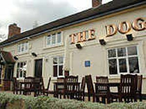 Supporting image for story: Dog, Bearwood