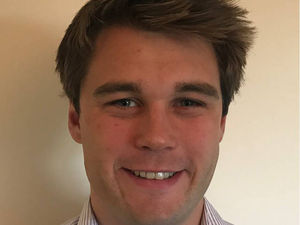 Supporting image for story: Acting when the price is right