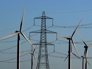 Supporting image for story: Take some green levies, not VAT, off bills to cut energy costs, Treasury urged