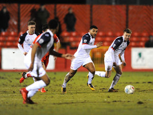 Supporting image for story: Rob Edwards praises AFC Telford players for '100 per cent performance'