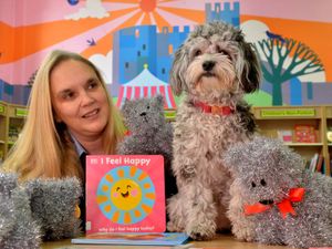 Supporting image for story: Wool needed to create toy versions of Truffles the therapy dog