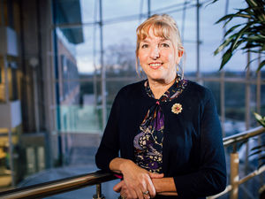 Supporting image for story: New guide showcases the possibilities of cast irons