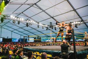 Supporting image for story