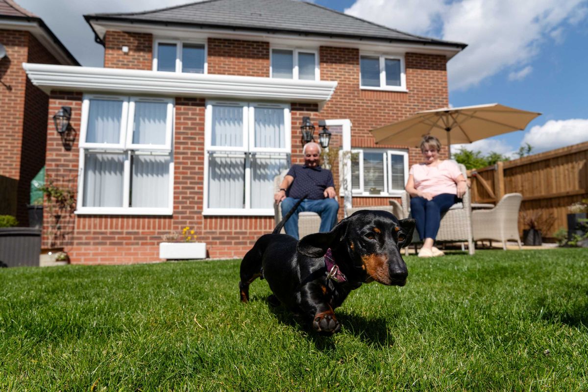 A paw-some start to parenthood! Lichfield housebuilder offers free &lsquo;puppy proofing packs&rsquo; for new pet owners