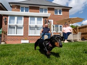 Supporting image for story: A paw-some start to parenthood! Lichfield housebuilder offers free ‘puppy proofing packs’ for new pet owners