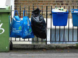 Supporting image for story: Long wait for new bins