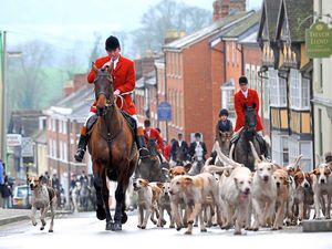 Supporting image for story: Ludlow's Boxing Day hunt scrapped due to Covid rules