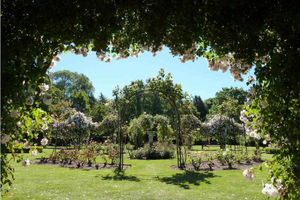 Supporting image for story: Festival of fun on way to Wolverhampton parks in the summer