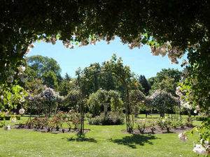 Supporting image for story: Festival of fun on way to Wolverhampton parks in the summer