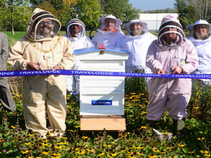 Supporting image for story: Travelodge opens its first hotel for BEES in Telford