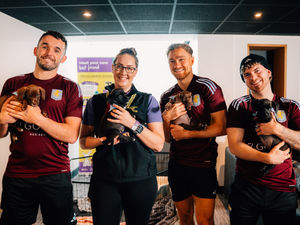 Supporting image for story: Aston Villa stars play with rescue pups during visit to dogs' home