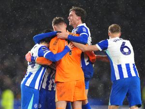 Supporting image for story: Fabian Hurzeler always confident Bart Verbruggen would emerge Brighton hero