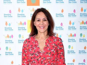 Supporting image for story