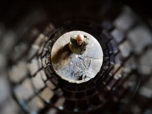 Supporting image for story: Going up - Lord Hill's Column open event announced