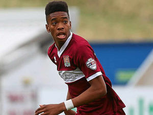 Supporting image for story: Wolves defuse talk of a bid for Ivan Toney