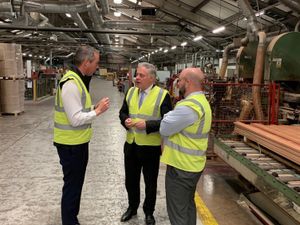 Supporting image for story: Timber products company praised for improving green credentials