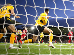 Supporting image for story: Dave Edwards: Gut wrenching but Wolves should take real heart