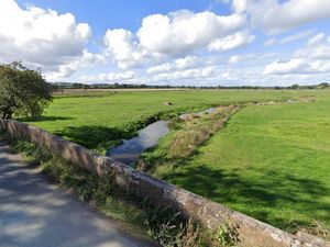 Supporting image for story: Firefighters rescue horse and foal from river near Market Drayton