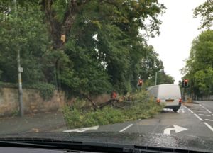 A fallen tree on the A41 in Wolverhampton. Photo: @Jb24674159