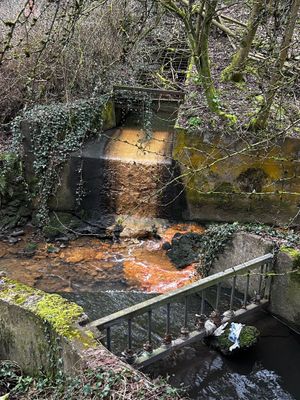 A photo taken by Keith Firstwood showing stagnant water in the Nature Reserve