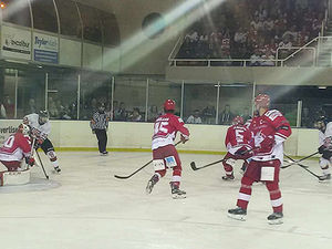 Supporting image for story: Telford Tigers go top with overtime victory